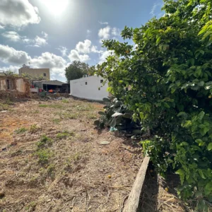 326m² Plot for Sale in Kissonerga, Paphos District