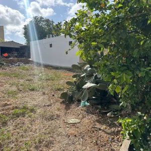 326m² Plot for Sale in Kissonerga, Paphos District