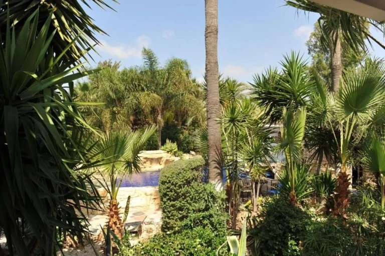 Cheap Houses and Villas for Rent Paphos