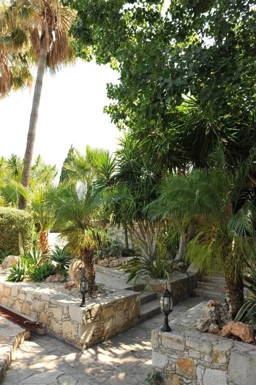 Cheap Houses and Villas for Rent Paphos