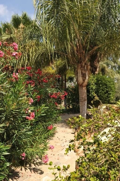 Cheap Houses and Villas for Rent Paphos