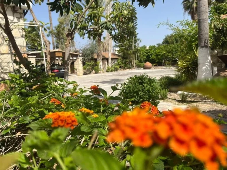 Cheap Houses and Villas for Rent in Cyprus