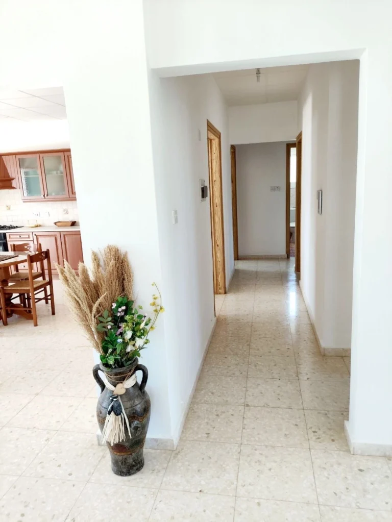 Cheap Houses and Villas for Rent Paphos