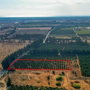 15,951m² Plot for Sale in Kato Polemidia, Limassol District