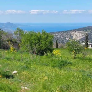 23,000m² Plot for Sale in Polis Chrysochous, Paphos District