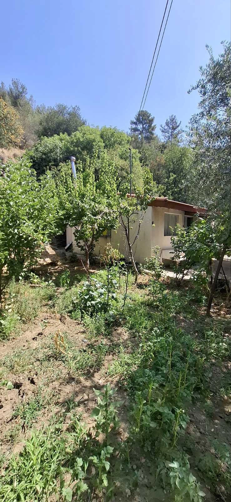 Cheap Houses and Villas for Rent in Cyprus