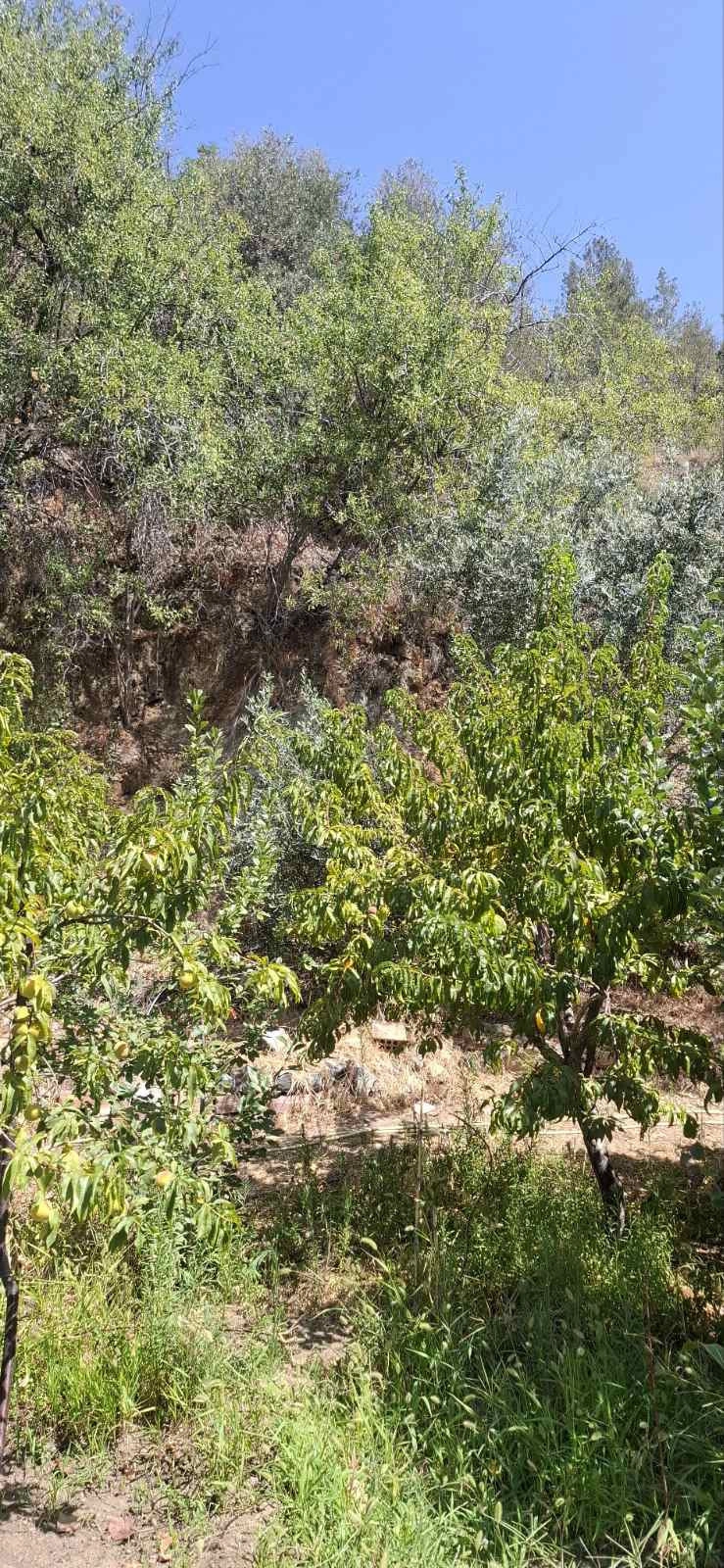 Cheap Houses and Villas for Rent in Cyprus