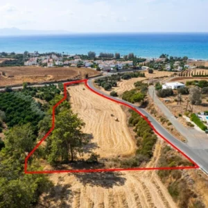 9,384m² Plot for Sale in Argaka, Paphos District