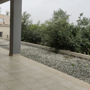 3 Bedroom House for Rent in Mesa Chorio, Paphos District