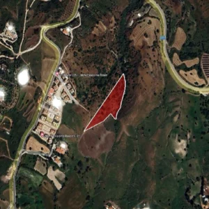 13,975m² Plot for Sale in Paphos District