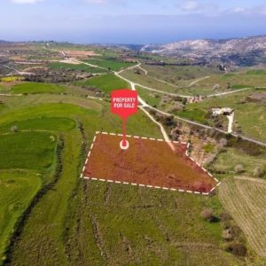 7,002m² Plot for Sale in Pano Arodes, Paphos District