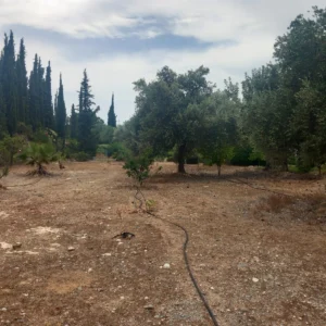 1,623m² Plot for Sale in Paphos District
