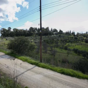 9,100m² Plot for Sale in Choletria, Paphos District