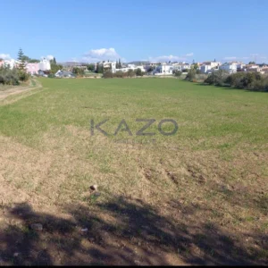 13,378m² Plot for Sale in Timi, Paphos District
