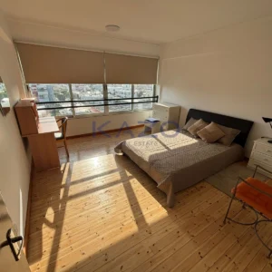 1 Bedroom Apartment for Rent in Limassol District