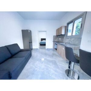 1 Bedroom Apartment for Rent in Limassol – Agia Zoni