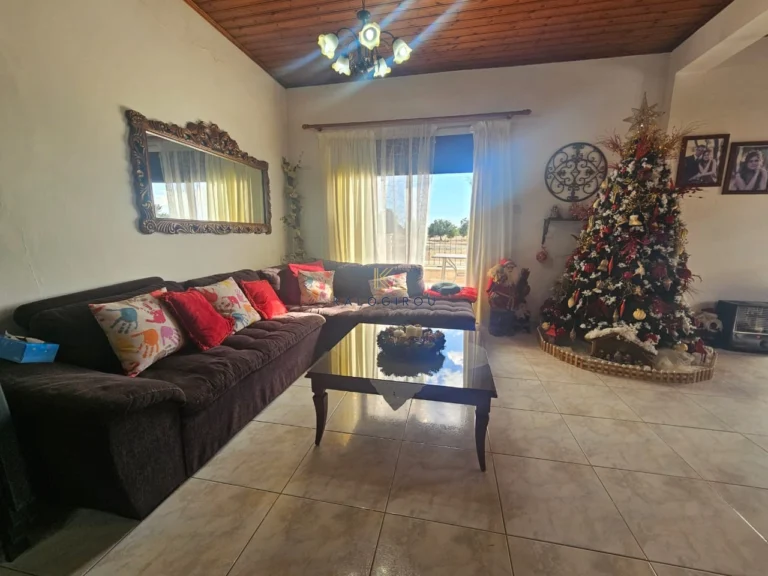 Cheap Houses and Villas for Sale Larnaca