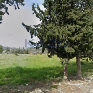 11,604m² Plot for Sale in Asgata, Limassol District