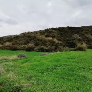 8,362m² Plot for Sale in Pissouri, Limassol District