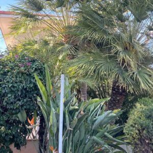 3 Bedroom House for Rent in Mouttagiaka, Limassol District