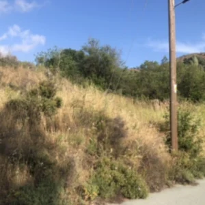 1,004m² Plot for Sale in Kato Platres, Limassol District