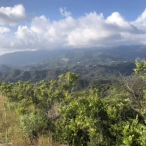 6,355m² Plot for Sale in Koilani, Limassol District