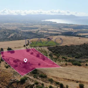 8,529m² Plot for Sale in Pelathousa, Paphos District
