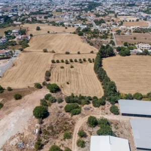 7,024m² Plot for Sale in Mesogi, Paphos District
