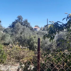 1,027m² Plot for Sale in Tsada, Paphos District