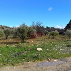 4,400m² Plot for Sale in Apesia, Limassol District