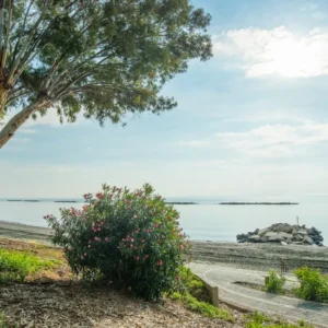 3 Bedroom Apartment for Sale in Limassol District