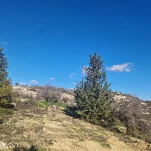 1,338m² Plot for Sale in Tsada, Paphos District