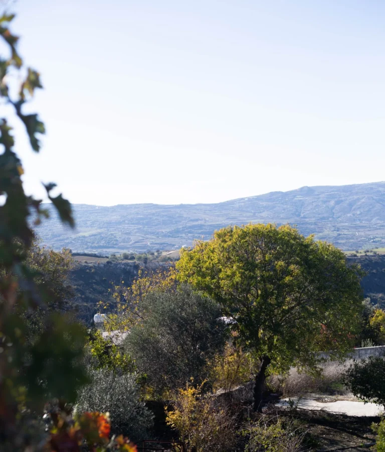 Cheap Houses and Villas for Sale Cyprus