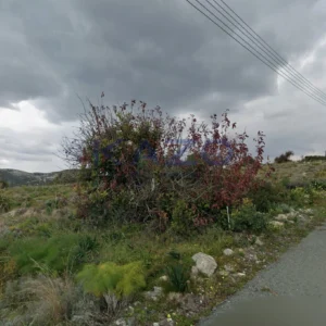 2,500m² Plot for Sale in Kalavasos, Larnaca District