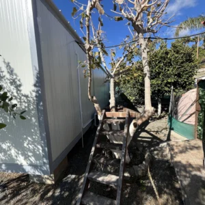 1 Bedroom House for Rent in Monagroulli, Limassol District