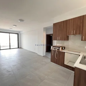 2 Bedroom Apartment for Rent in Larnaca District