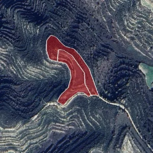 10,369m² Plot for Sale in Pachna, Limassol District