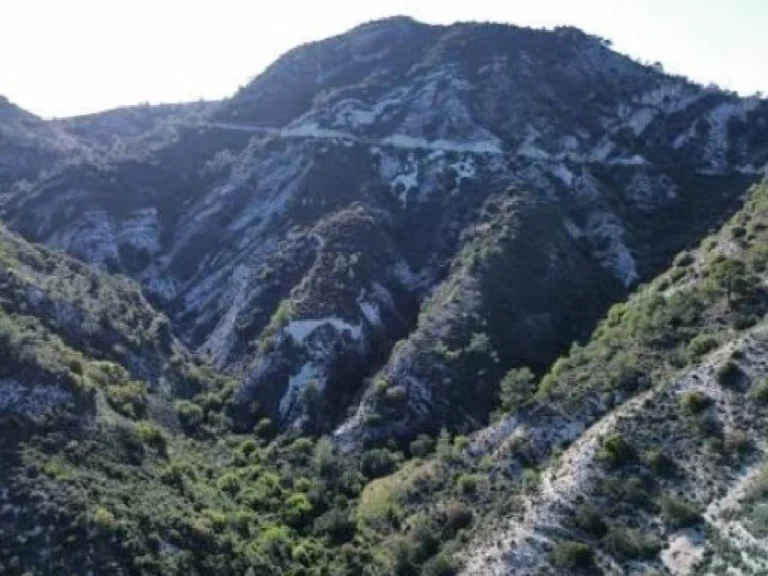 Plots of Land for Sale