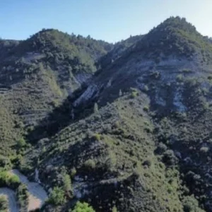 24,751m² Plot for Sale in Agios Mamas, Limassol District