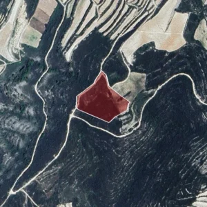 11,706m² Plot for Sale in Omodos, Limassol District