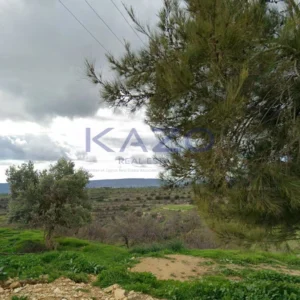 400m² Plot for Sale in Lofou, Limassol District