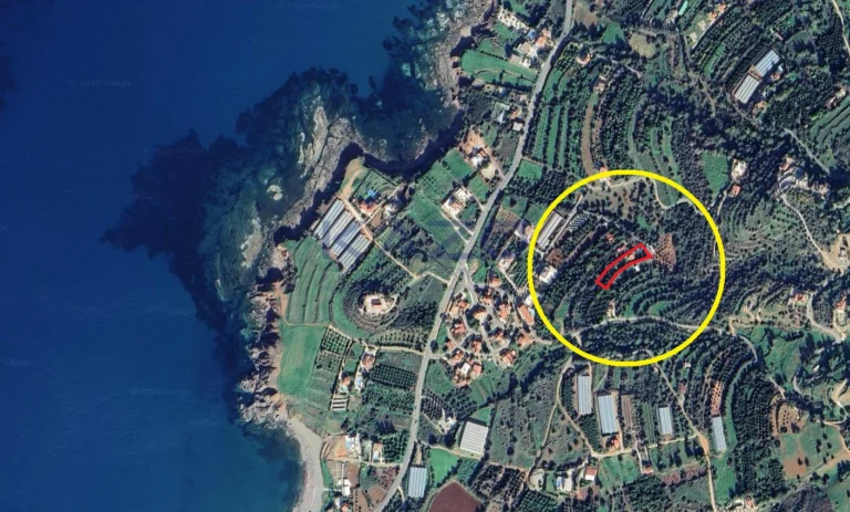 1,824m² Plot for Sale in Nea Dimmata, Paphos District