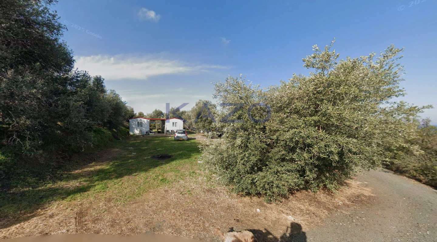 1,824m² Plot for Sale in Nea Dimmata, Paphos District