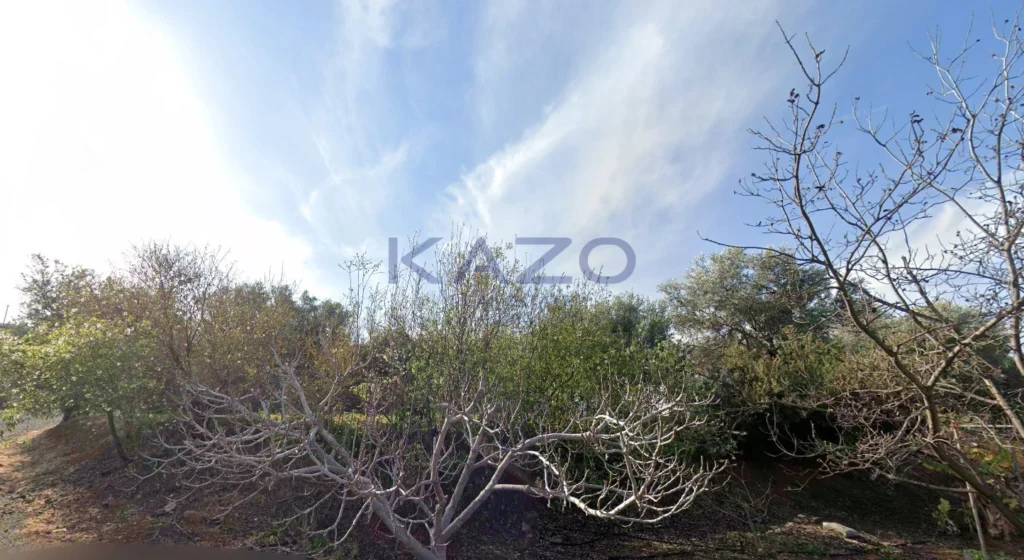 1,824m² Plot for Sale in Nea Dimmata, Paphos District