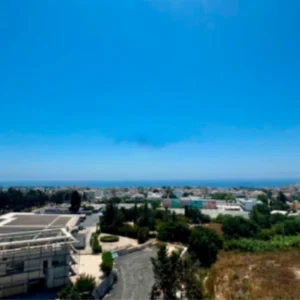 Office for Rent in Paphos District