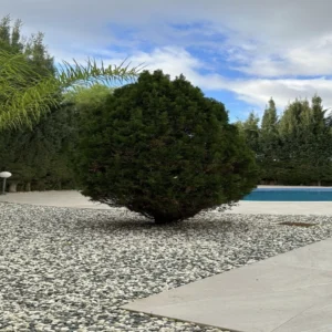 4 Bedroom House for Sale in Paphos District