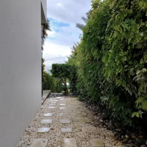 3 Bedroom House for Sale in Pegeia, Paphos District