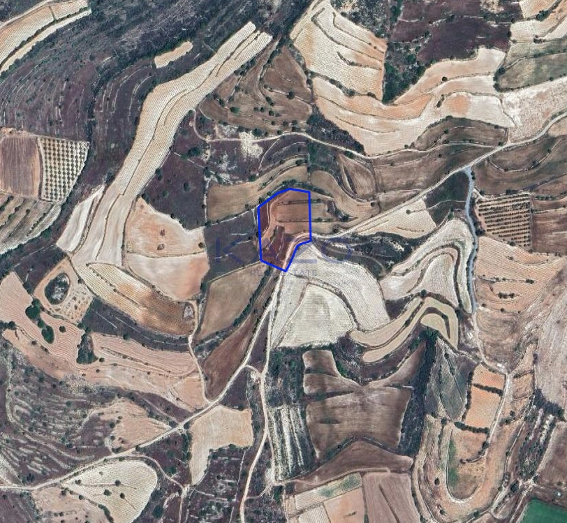 6,355m² Plot for Sale in Pachna, Limassol District