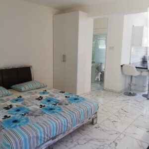 1 Bedroom Apartment for Rent in Larnaca – Finikoudes