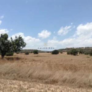 7,024m² Plot for Sale in Agios Theodoros, Larnaca District